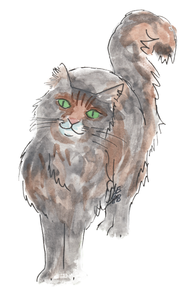 Cuckoo Scaredycat drawing